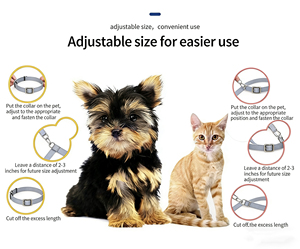 <span class=keywords><strong>Collare</strong></span> Calmante per Gatti di Lusso Regolabile Impermeabile Personalizzato con Piume, Chiusura con Fibbia in Materiale TPR, Utilizzabile in Tutte le Stagioni, per Animali Domestici - Product Image 6