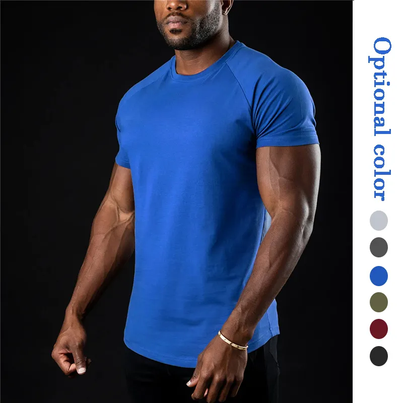 사용자 정의 하이 퀄리티 95 면 5 스판덱스 스포츠 남자 T 셔츠 일반 실행 맞는 체육관 로고 인쇄 남성 T 셔츠