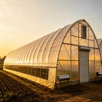 Serre agricole multi-chapelles à faible coût en film PE, structure en acier galvanisé, durée de vie de plus de 15 ans, système de ventilation