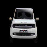 Voiture électrique certifiée EEC/COC/L6e-BP, mini véhicule électrique 45 km/h avec 2 portes et 2 sièges, homologuée pour la circulation routière en Europe