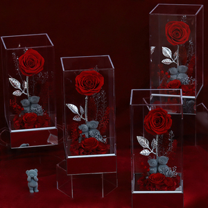 Vendita all'Ingrosso <span class=keywords><strong>di</strong></span> <span class=keywords><strong>Rose</strong></span> Eterne Preservate con Orsacchiotto e Coniglietto, Regalo Fatto a Mano in Cupola <span class=keywords><strong>di</strong></span> Vetro Acrilico <span class=keywords><strong>per</strong></span> San Valentino - Product Image 5