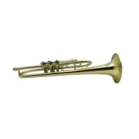 SEASOUND OEM High Quality BB Tone Rotary Brass Trompeta JYTR411 Lacquer and Gold Surface Trumpet