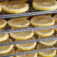 Industrie Citrus Droger Oranje Slice Fruit Thee Droogkamer Oranje Slice Drogen Complete Set Van Apparatuur