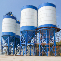 1000ton 2000ton calcestruzzo fondazione Silo prezzi Silo di cemento con nastro trasportatore a vite con una scala
