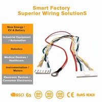 Harnais de câblage de moteur de commande industrielle professionnel, connecteur IP67, conducteur en cuivre de 3000 watts, câble de moteur de moyeu, automatisation