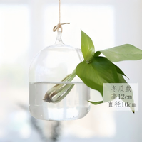 Petit vase suspendu créatif en verre, terrarium, bouteille pour plantes hydroponiques, conteneur pour plantes succulentes et plantes aériennes, décoration d'intérieur