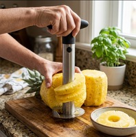 Fabrieksgroothandel Handmatige RVS Kersenontpitter, Heavy Duty Snijder, Spiral Fruit Schiller, Gemakkelijk Reinigbaar, Handwasbaar Gereedschap