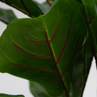 Nouvelle Arrivée 2023 : Arbre Ficus Artificiel Réaliste H85cm en PE, Résistant aux UV, Écologique, pour Intérieur/Extérieur, Idéal pour les Cérémonies de Remise des Diplômes et le Nouvel An