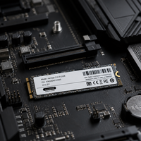 SSD M.2 NVME Super Cepat untuk Laptop 128GB 256GB 512GB 1TB 2TB SATA 2280mm
