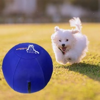 Funda Lavable de Nylon 1680D Antidesgarro para Pelota de Yoga, Ejercicio al Aire Libre, Entrenamiento de Perros y Juego en Establos de Caballos