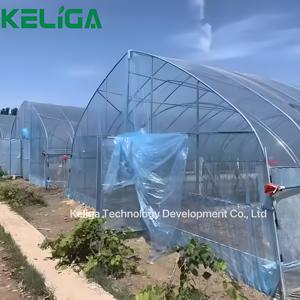 Serres tunnel de bonne qualité avec tour hydroponique Poly Tunnel serre verte pour tomates <span class=keywords><strong>à</strong></span> <span class=keywords><strong>vendre</strong></span> - Product Image 4