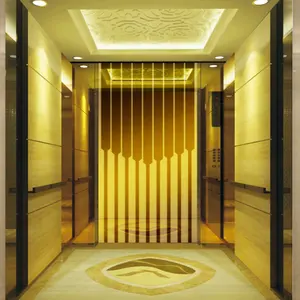 新着!!! オフィスとホテルプレハブ住宅中国製小型リフトエレベータードア部品SSシート