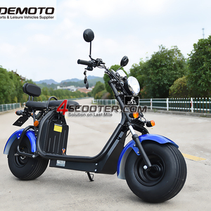 Vis pour scooter électrique repliable, 2000W 4000W, certificat de conformité cee COC, deuxième main - Product Image 1