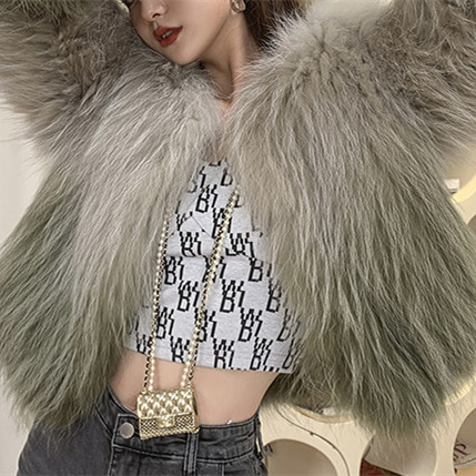 Factory Fur Double-Side Woven Gradual Change Fur Coat Female Short Young Girl Fashion Raccoon Fur Coat