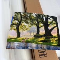 Papier photo satiné imperméable Rc Pro Luxe, papier photo de haute qualité 260 g/m², brillant, format A4