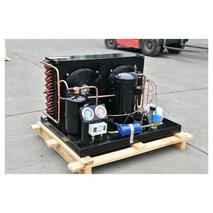 Cooling Compressor Condenser Unit Refrigeration Cold Storage Room Freezer Condensing Unit