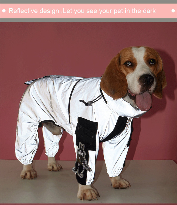 product-1-1 product-1-1