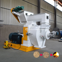 Moulin à granulés de bois professionnel Anneau avancé Die Biomasse Pellet Machine Solution de chauffage efficace