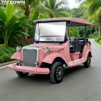 Voiture de tourisme électrique classique vintage personnalisable populaire, 5 passagers, garantie 2 ans, marque ZOWN, 4 roues, sur mesure