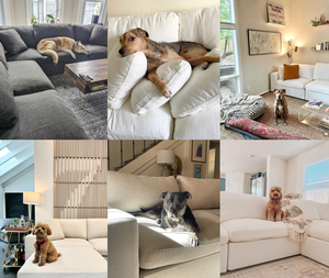 Contemporary U-Shaped Cloud Sofa with Goose Down Filling Luxury Modular Sectional Living Room Couch <strong>Furniture</strong> for Villas - Product Image 3