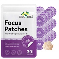 Patchs Transdermiques Biodégradables à l'Extrait de Plantes (30 Pièces) – Soutien Concentré pour Maintenir la Clarté Mentale – Vitamine B – Vente en Gros