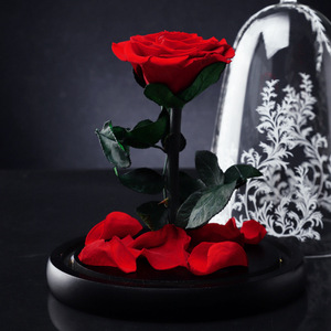 Couvercle <span class=keywords><strong>en</strong></span> <span class=keywords><strong>verre</strong></span> <span class=keywords><strong>rose</strong></span> préservé <span class=keywords><strong>La</strong></span> <span class=keywords><strong>belle</strong></span> <span class=keywords><strong>et</strong></span> <span class=keywords><strong>la</strong></span> bête Coffret cadeau d'anniversaire de <span class=keywords><strong>la</strong></span> Saint-Valentin avec design personnalisé - Product Image 2