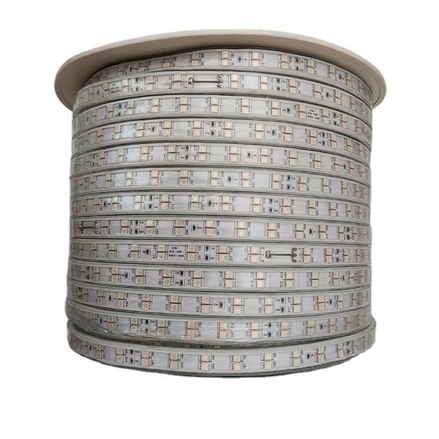 5050 RGB Led Strip Light 220V 96led/M Flexible Waterproof Led Lamp
