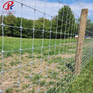 Clôture en treillis galvanisé pour la protection des cerfs, idéale pour les fermes, jardins et vergers - Offre Spéciale - Product Image 3