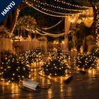 Guirlandes lumineuses décoratives étanches IP67 110V, 10 mètres, 100 ampoules, télécommande, effet ciel étoilé, pour extérieur, fabrication en usine
