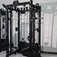 Shizhuo Tout en Un Entraîneur de Force de Qualité Supérieure Entraînement des Oiseaux Volants Gym Power Rack Smith Machine Multi Fonctionnel à Vendre