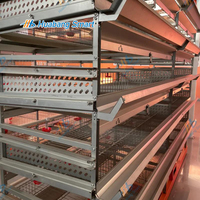 Garantie d'un an Cage à cailles pour élevages de poulets et de pigeons Cages automatiques à mailles de type H en acier et matière plastique