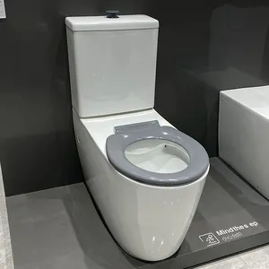 HUIDA high-end high seat toilet for disabled and elderly people 2 piece washdown p -trap dual flush toilet