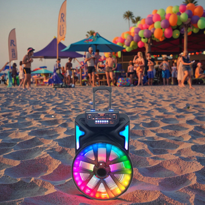 Enceintes portables sans fil avec trolley, woofer de 15 pouces, pour microphone double 5.0, carte TF, éclairage LED RVB, lecteur audio - Product Image 5