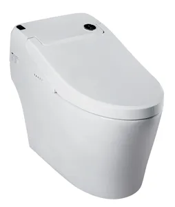 Modern Design Ceramic 1 Piece With Bidet Turkish Automated Toilet Seat Heat Auto Intelligent Toilet For Hotel