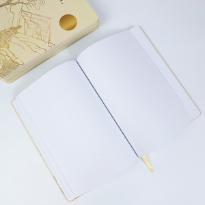 Carnets de notes et agendas B5 de luxe personnalisés à couverture rigide pour étudiants – Fournisseur d'or - Product Image 6