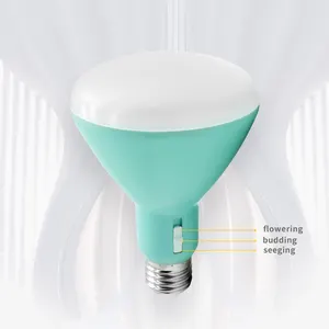 Đèn Led Trồng Cây Woojong Bán Chạy R39 R45 R63 R80 4W 6W 9W 13W E27 Đầy Đủ Quang Phổ