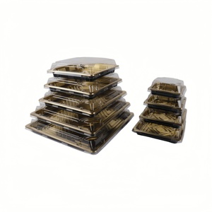 Factory Directly Sale <strong>Disposable</strong> Durable Plastic Food Container Packaging Sushi to Go Box Container square to Go <strong>Platter</strong> - Product Image 1