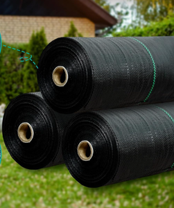 Toile de paillage perforée anti-mauvaises herbes pour le contrôle des mauvaises herbes dans les jardins et les légumes - Product Image 2