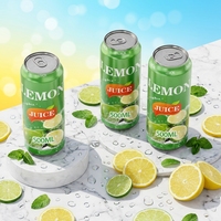 Fournisseur de boissons gazeuses en conserve certifiées HACCP ISO, conception de saveurs, traitement, service OEM ODM