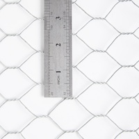 Poulailler en treillis métallique hexagonal à mailles plates, résistant aux acides/aux alcalis, PVC galvanisé, ferme avicole