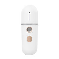 Vaporisateur facial à brume fine, commande simple à une touche, double usage maison et salon, équipement pour hydrater la peau du visage