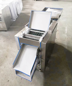 Máquina para Eliminar Semillas de Pimiento de 500-700 kg/h, Cortadora de Chiles Secos - Product Image 6