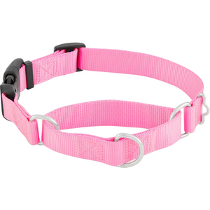 Collar de perro <span class=keywords><strong>Martingale</strong></span> de moda con hebilla de liberación rápida Collar fuerte a prueba de escape para perros pequeños medianos y grandes - Product Image 2