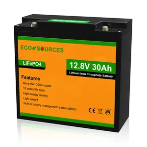 태양광 시스템 용 친환경 Lifepo4 충전기 프리즘 이온 12v 30ah 24v 36v 48v 200ah 리튬 배터리