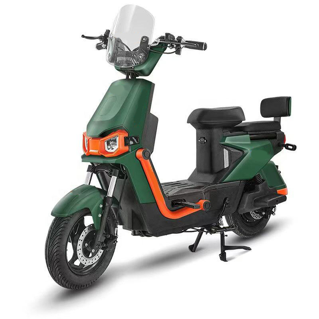 Wholesale Low Price Electric Bicycle with Pedal Two Seats 350W/500W/1000W Brushless Hub Motor Rear Carrier Electronic City Bike