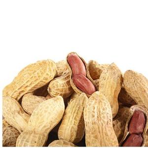 Promotional Various <strong>Good</strong> <strong>Quality</strong> <strong>in</strong> <strong>Shell</strong> <strong>Peanut</strong> Bulk <strong>Peanuts</strong> <strong>in</strong> <strong>Shell</strong> Chinese Cheapest <strong>Peanut</strong> <strong>in</strong> <strong>Shell</strong> - Product Image 3