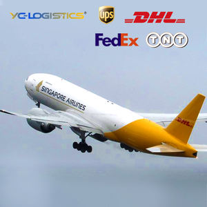 Top 10 des transitaires chinois, fret aérien, express, expédition DDP vers les États-Unis, le Canada, l'Australie, les Émirats arabes unis, l'Europe - Product Image 5