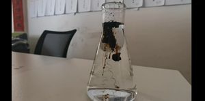 Mineral kaynak asit Leonardite organik gübre Solub potasyum çözünür toz süper Humate Humic Kali K F parlak Fulvate - Product Image 3