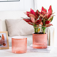 Pot de fleurs hydroponique en résine plastique transparente, aspect verre, auto-arrosant, respirant, résistant à la corrosion, pour une utilisation sur le bureau en intérieur