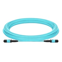10G 100G OM3 8 ~ 24 Core Trunk Cable MTP Optique MPO MDC Fiber Optique Patch Cord